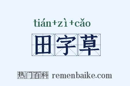 田字草是什么意思的图片